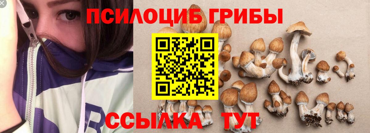 Красноармейск  Галлюциногенные грибы Psilocybine cubensis  Псилоцибиновые грибы ЛСД  Вход с VPN 